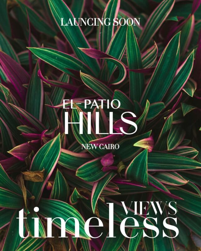 489324733_122113510640804770_5341178725501665880_n